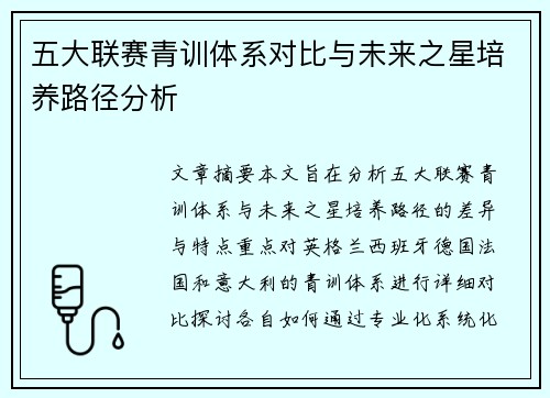 五大联赛青训体系对比与未来之星培养路径分析